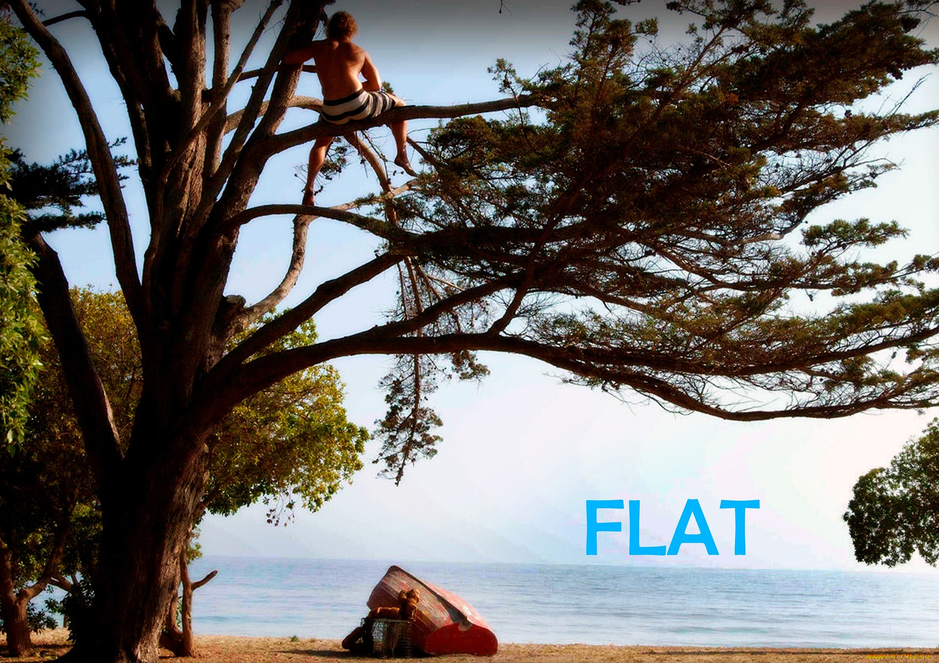  , surfer,  dude, , , , 